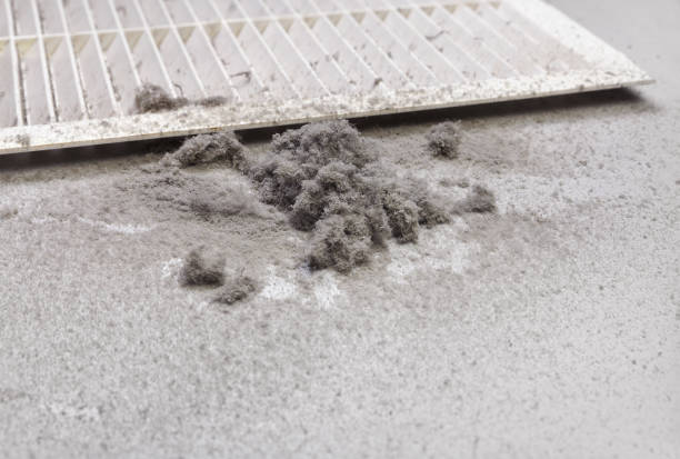 Best Dryer Vent Cleaning Services  in Waldwick, NJ